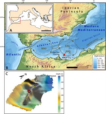 Cold-Water Coral Mound Archive Provides Unique Insights Into Intermediate Water Mass Dynamics in the Alboran Sea During the Last Deglaciation